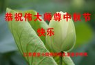 ֹ,մ󷨵ӹףʦ(20)