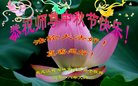 ֹ,󷨵ӹףʦ(22)