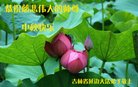 ֹ,ʡ󷨵ӹףʦ(20)