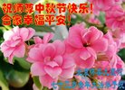 ֹ,󷨵ӹףʦ(19)