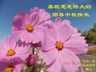 ֹ,󷨵ӹףʦ(18)