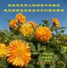 法轮功,大庆大法弟子恭祝师尊中秋好(18条)