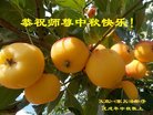 ֹ,󷨵ӹףʦ(18)