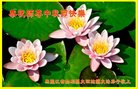 ֹ,󷨵ӹףʦ(12)