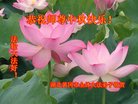 ֹ,󷨵ӹףʦ(20)