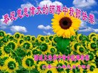 ֹ,Ϋ󷨵ӹףʦ(20)