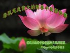 ֹ,Ϋ󷨵ӹףʦ(20)