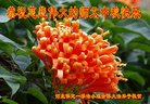 ֹ,󷨵ӹףʦ(20)