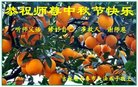 ֹ,󷨵ӹףʦ(20)