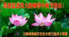 ֹ,󷨵ӹףʦ(20)