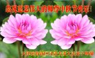 ֹ,󷨵ӹףʦ(20)