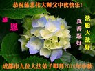 ֹ,ɶ󷨵ӹףʦ(19)