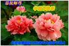 ֹ,󷨵ӹףʦ(20)