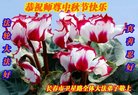 ֹ,󷨵ӹףʦ(20)
