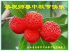 ֹ,󷨵ӹףʦ(20)