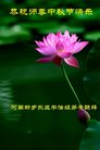 ֹ,ϴ󷨵ӹףʦ(23)