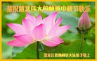 ֹ,󷨵ӹףʦ(19)