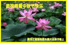 ֹ,󷨵ӹףʦ(19)