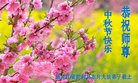 ֹ,󷨵ӹףʦ(19)