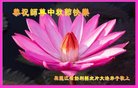 ֹ,󷨵ӹףʦ(19)