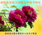 法轮功,陕西大法弟子恭祝师尊中秋好(22条)