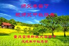 法轮功,重庆大法弟子恭祝师尊中秋好(22条)