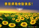 ֹ,ɶ󷨵ӹףʦ(21)