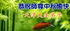 法轮功,天津大法弟子恭祝师尊中秋好(22条)
