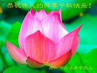 ֹ,֣ݴ󷨵ӹףʦ(21)
