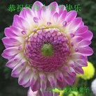 ֹ,ػʵ󷨵ӹףʦ(21)