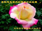 ֹ,ʯׯ󷨵ӹףʦ(25)