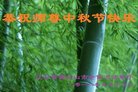 ֹ,󷨵ӹףʦ(20)