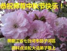 ֹ,󷨵ӹףʦ(19)