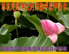 ֹ,󷨵ӹףʦ(19)