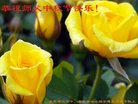 ֹ,մ󷨵ӹףʦ(20)