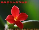 ֹ,մ󷨵ӹףʦ(20)