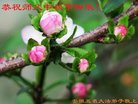 ֹ,մ󷨵ӹףʦ(20)