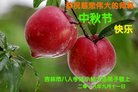 ֹ,д󷨵ӹףʦ(20)