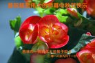 ֹ,д󷨵ӹףʦ(20)