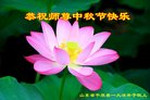 法轮功,德州市大法弟子恭祝师尊中秋好(31条)