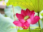 ֹ,󷨵ӹףʦ(21)