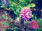 ֹ,ϴ󷨵ӹףʦ(23)