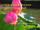 ֹ,ɹŴ󷨵ӹףʦ(21)