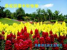 ֹ,󷨵ӹףʦ(19)