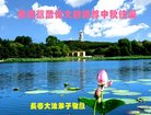 ֹ,󷨵ӹףʦ(19)