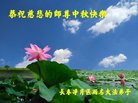 ֹ,󷨵ӹףʦ(19)