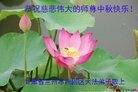 ֹ,󷨵ӹףʦ(19)
