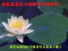 ֹ,󷨵ӹףʦ(23)
