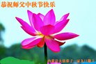 法轮功,河南大法弟子恭祝师尊中秋好(21条)