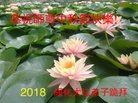 ֹ,󷨵ӹףʦ(19)